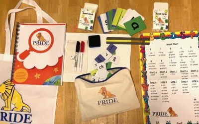 Homeschool and Humor Reviews the PRIDE Reading Program