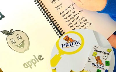 Mama Teaches Reviews the PRIDE Reading Program